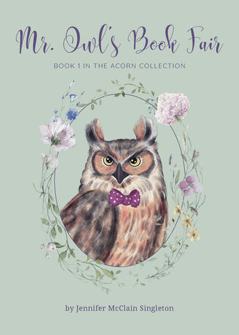 cover of Mr. Owl's Book Fair book