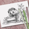 Coloring Cards - set of 3
