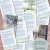 story & illustration cards - Summer 2026