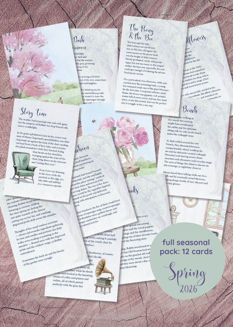 story & illustration cards - Spring 2026