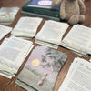 story & illustration cards - Summer 2026
