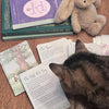 story & illustration cards - Summer 2026