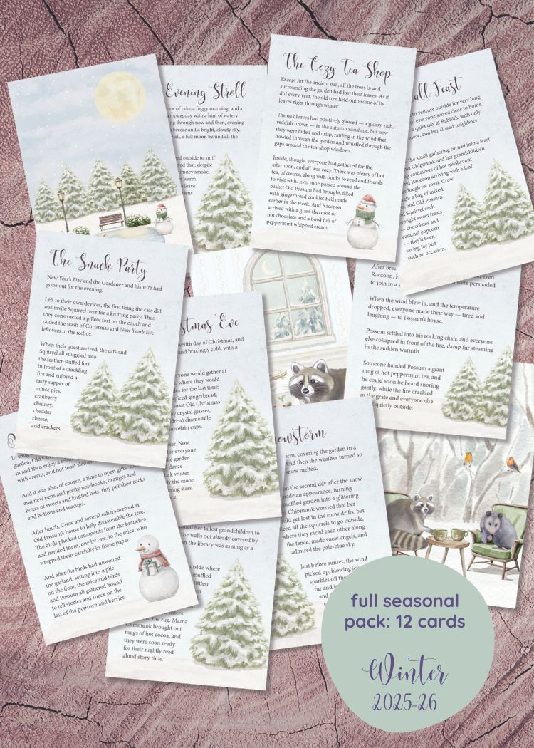 Story & Illustration cards - full pack of 12 - Winter 2025-26